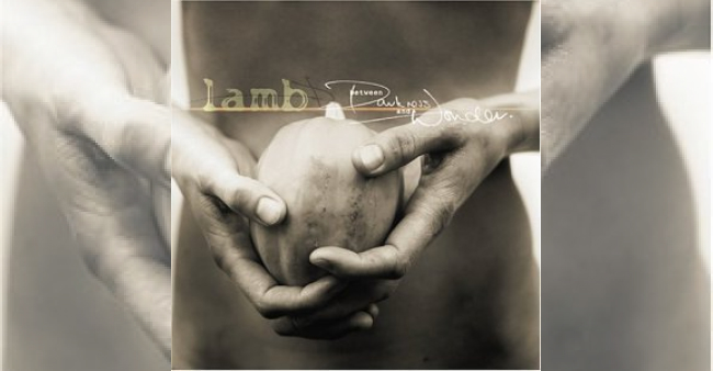 Lamb "Between Darkness And Wonder"