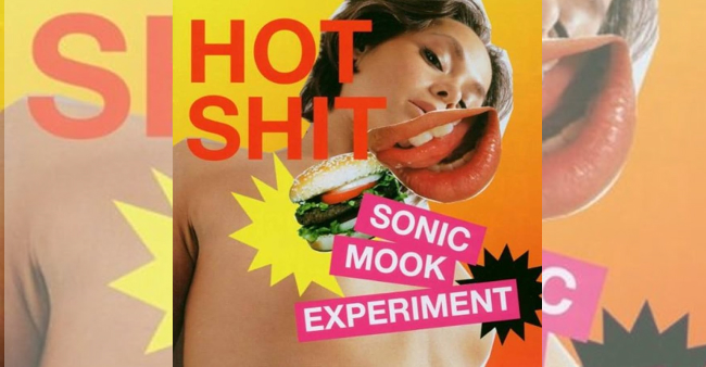 “Sonic Mook Experiment – Hot shit”